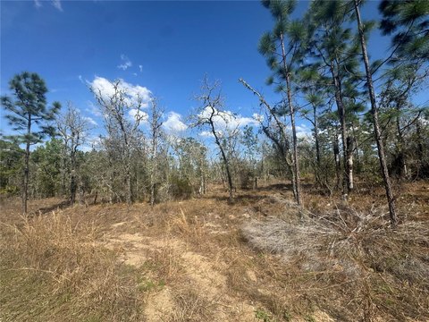 Golf Estate Residential Land Lot