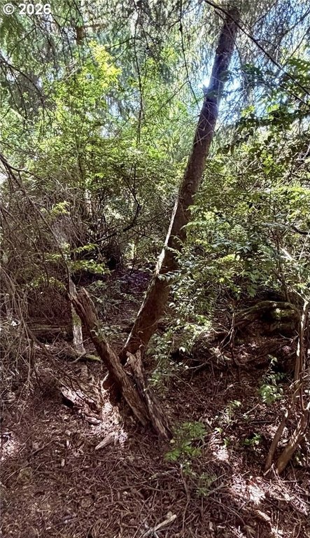 Picture 7