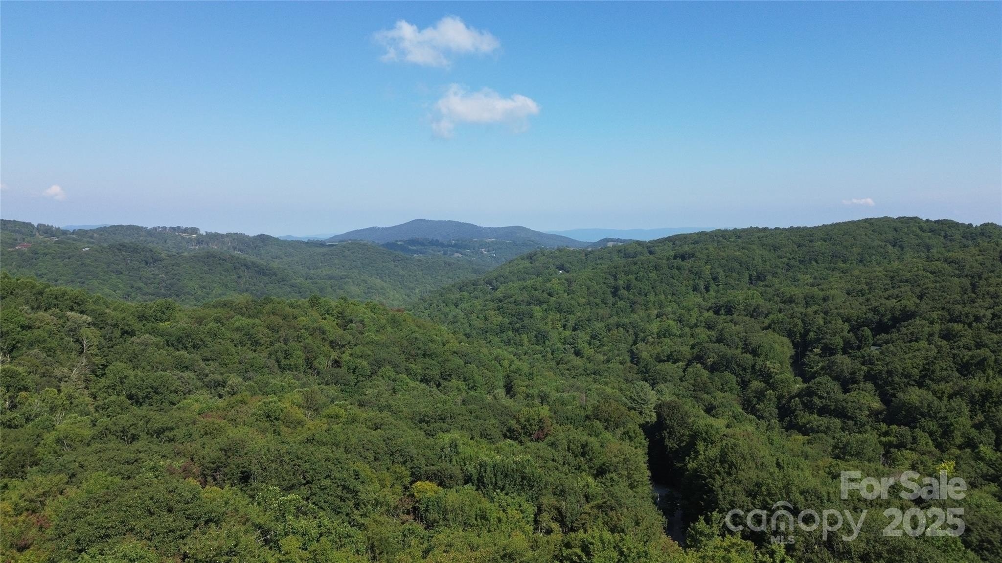 Land on Beech Mountain