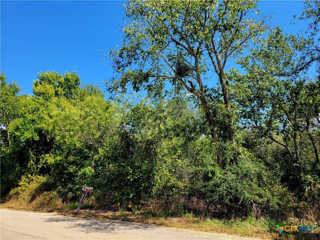 Land in Dale, Texas