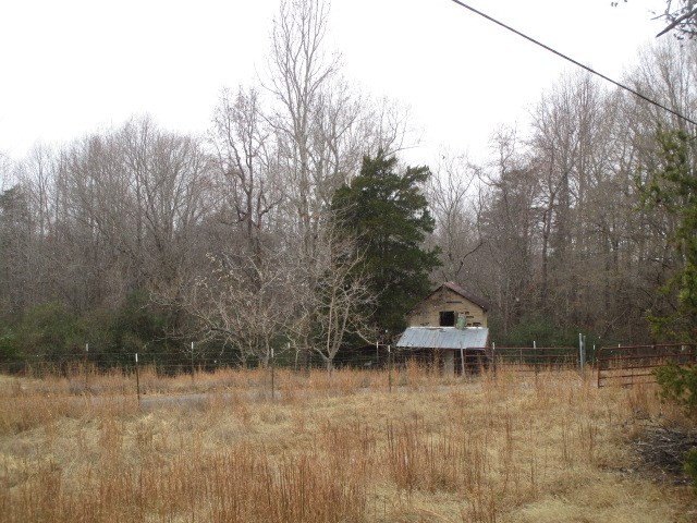 Picture 11