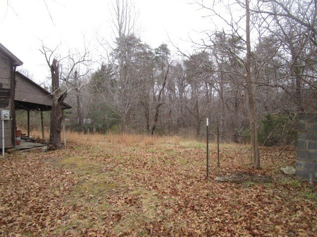 Picture 10