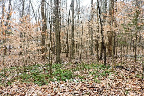 Hillsborough Wooded Lot For Sale