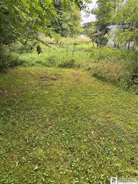 Picture 8