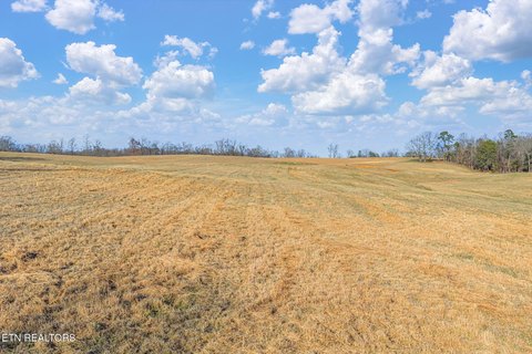 Lots & Acreage, Strawberry Plains, TN