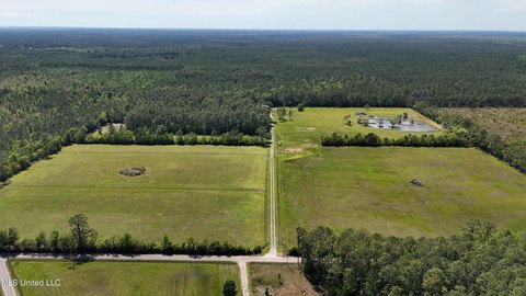 40 Acres Ready for Development