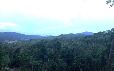 LAND - Roan Mountain, TN