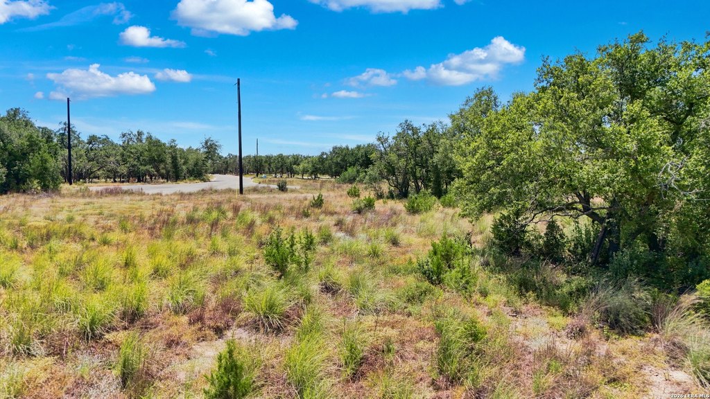 Picture 39