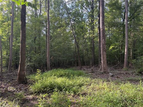 Wooded Land in Guilford County