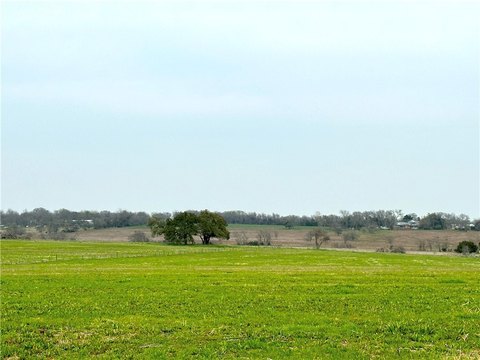 Restricted Treed Land Tract