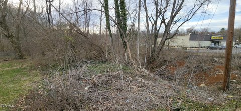 Land For Sale in Bristol