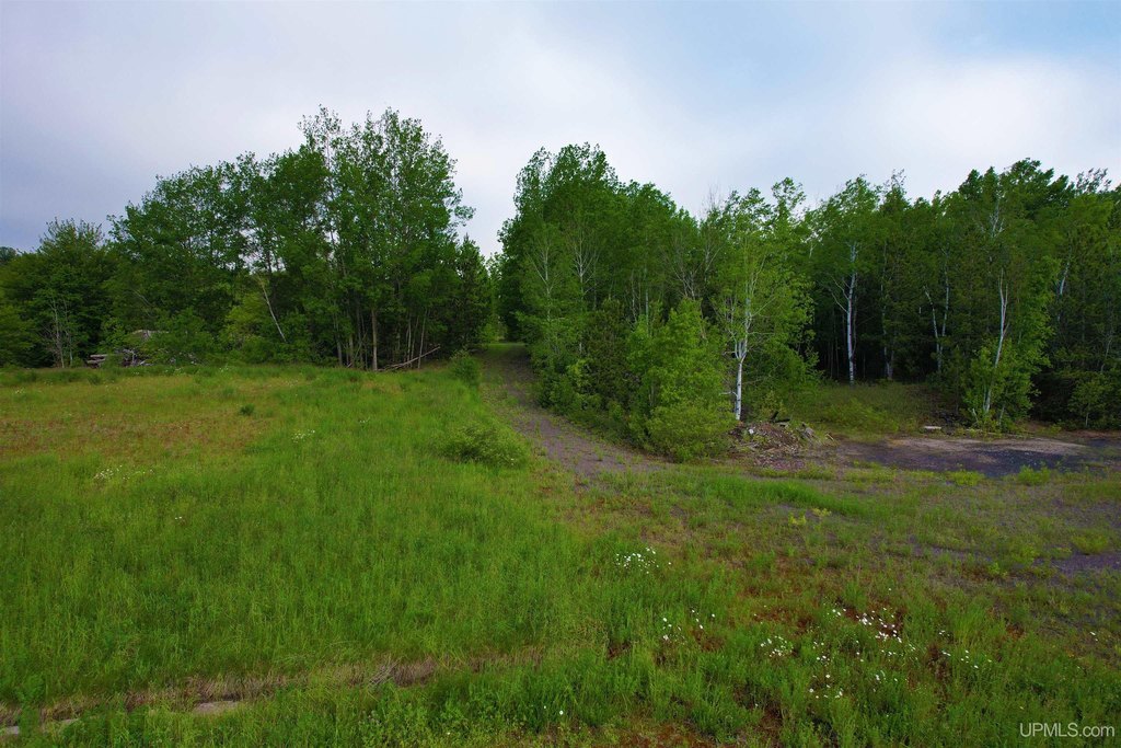 Picture 27