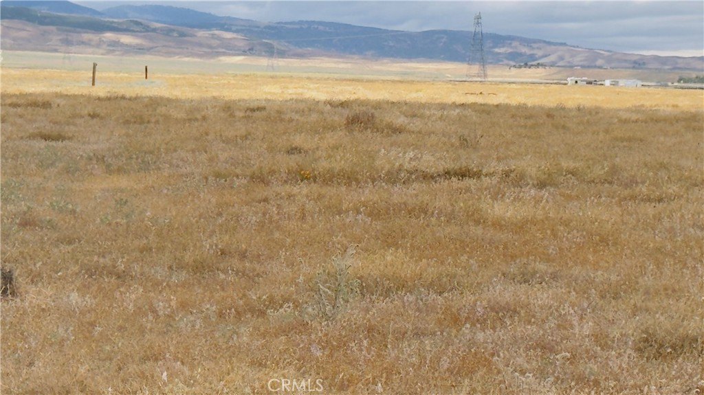 Picture 17