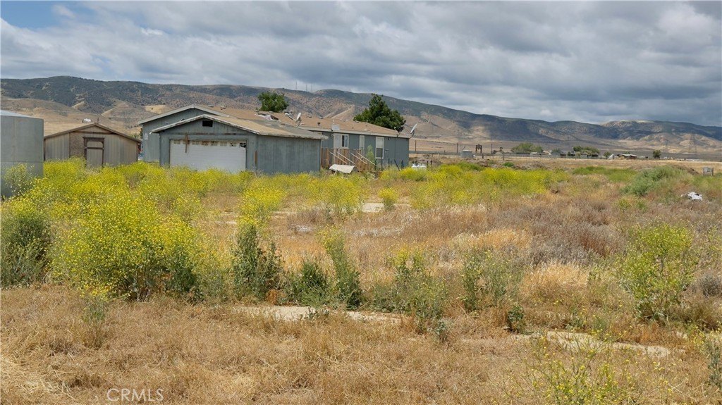 Picture 11
