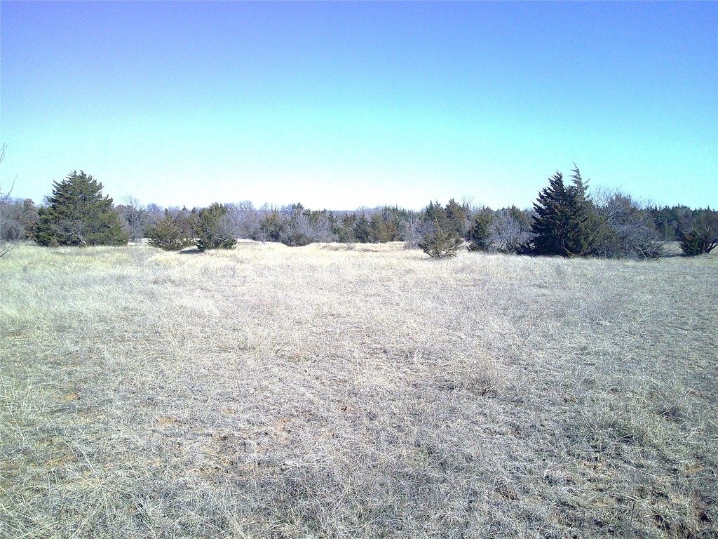 Picture 4