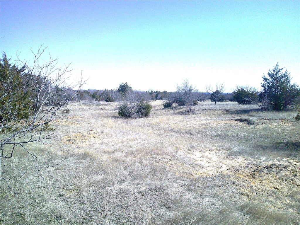 Picture 2