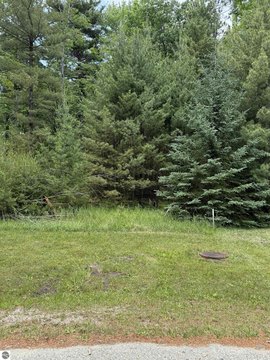 East Tawas Buildable Land
