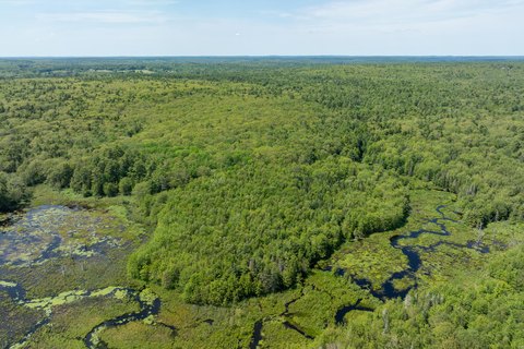 Pristine 111-Acre Maine Land
