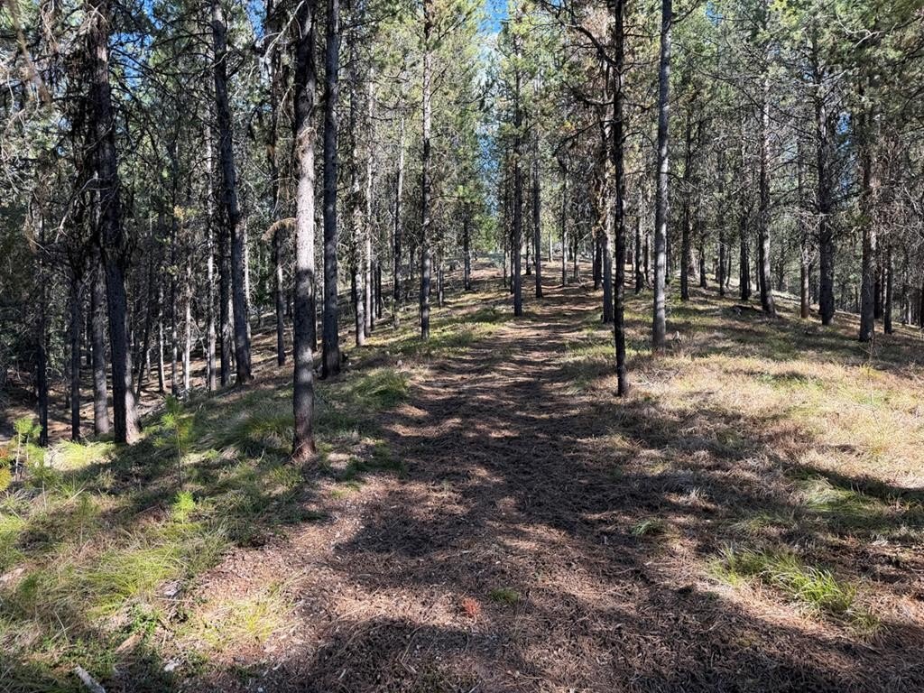 Picture 18