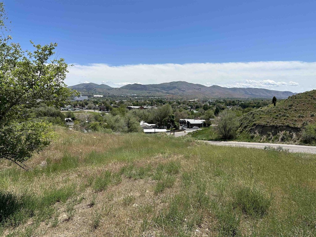 Picture 17