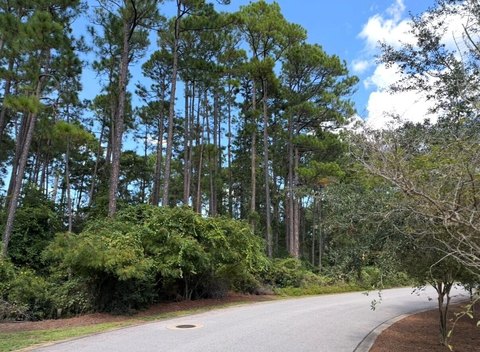 Land, Santa Rosa Beach, FL