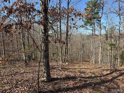 Heavily Wooded Recreational Land Tract