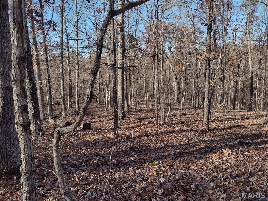 Picture 3