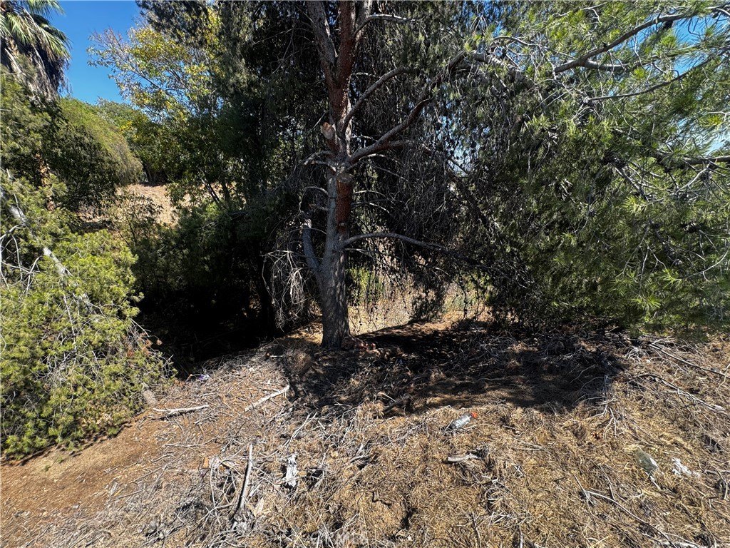 Picture 15