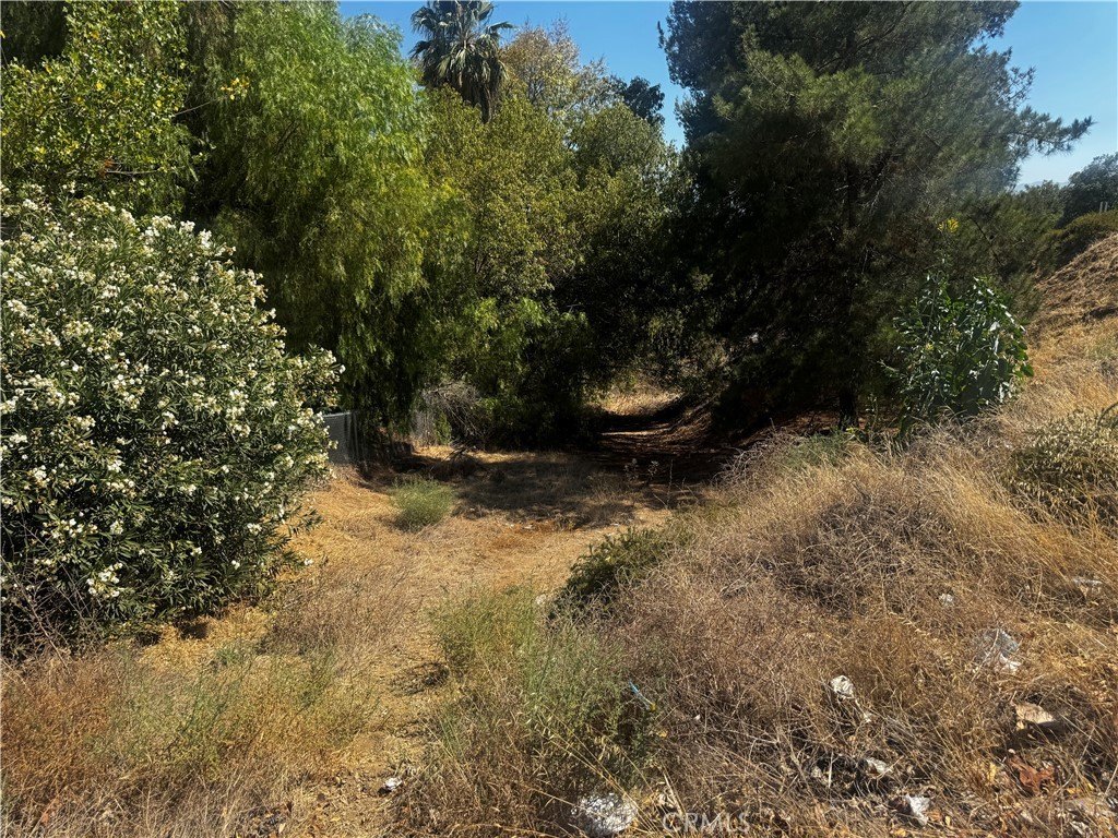 Picture 10
