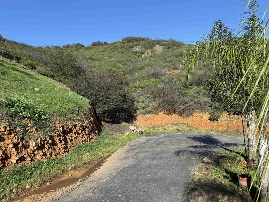 Picture 31