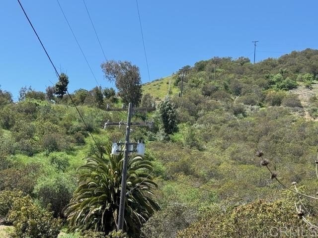 Picture 19