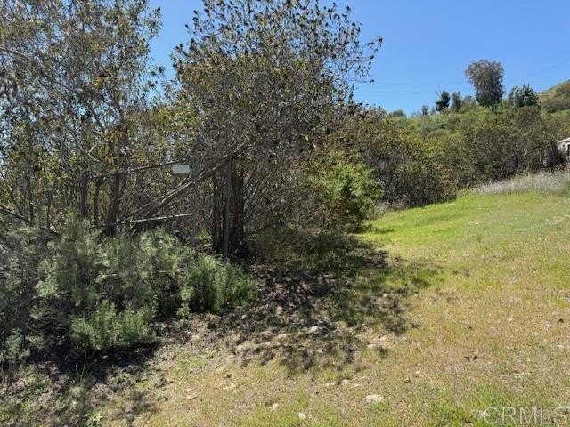 Picture 16