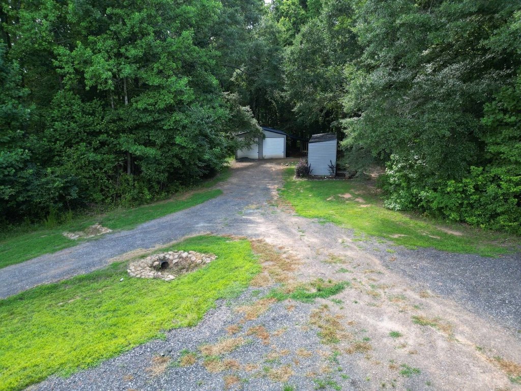 Picture 5