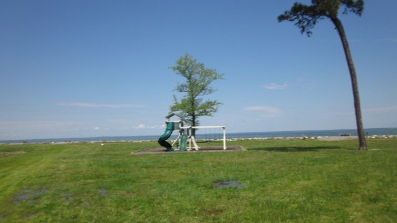 Picture 7