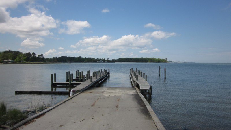 Picture 11