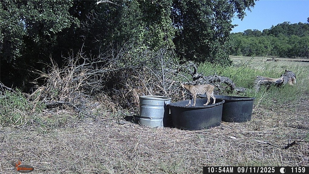 Picture 38