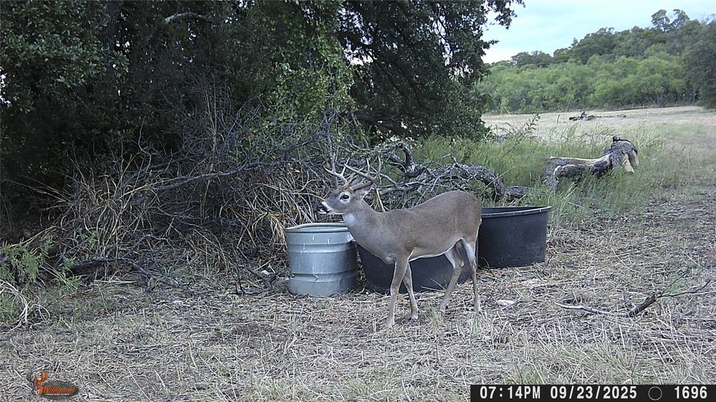 Picture 39