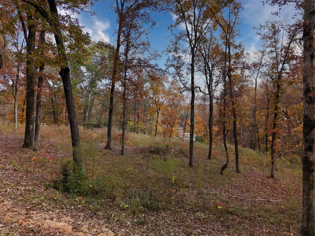 Picture 16