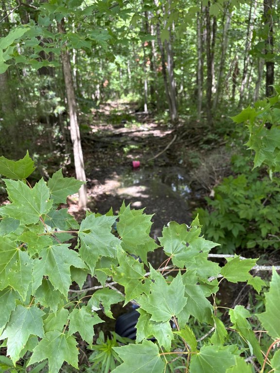 Picture 4