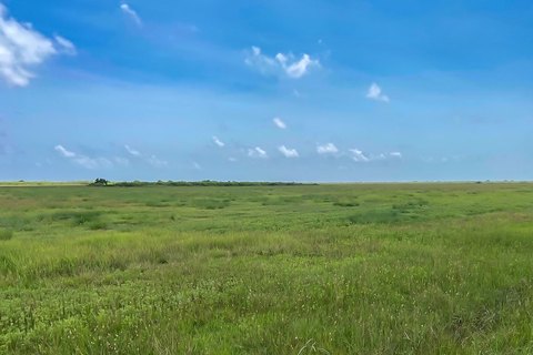 LAND - Sargent, TX