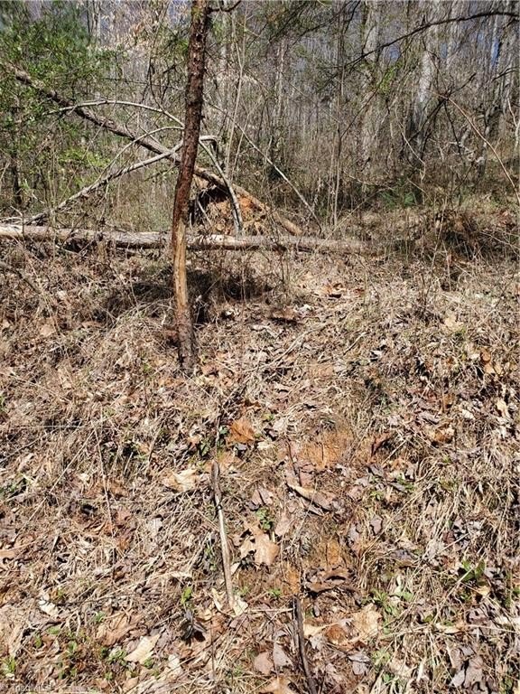 Picture 12
