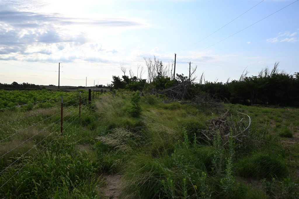 Picture 8