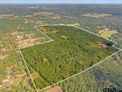 Timberland Recreation Property
