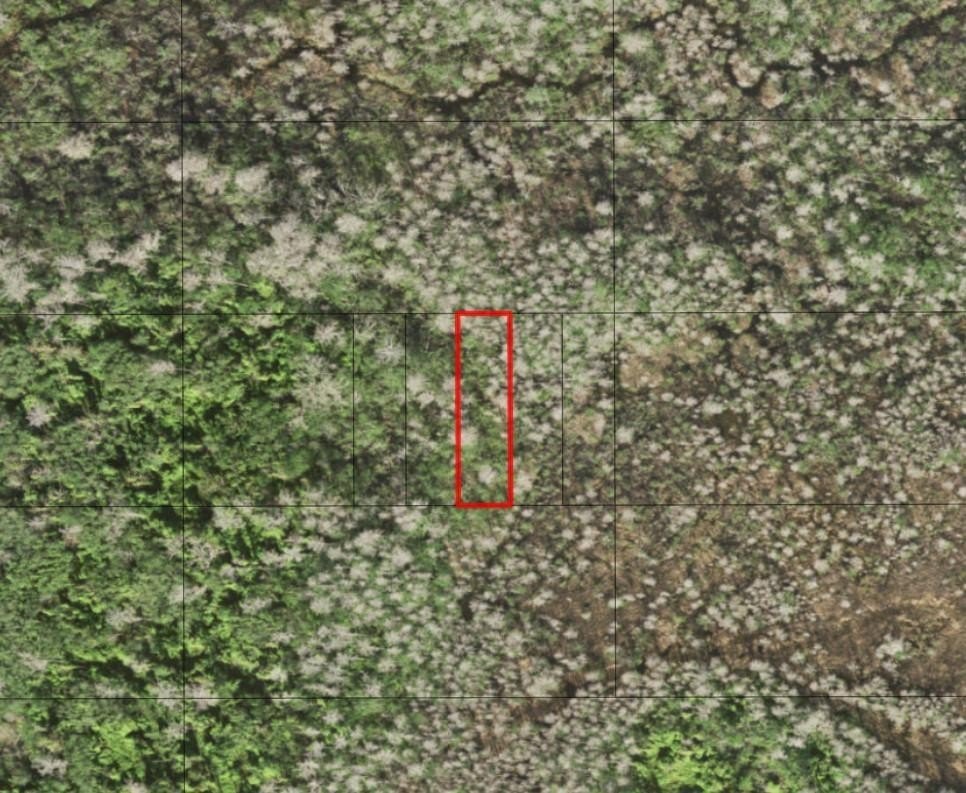 Recreational Land in St. Cloud