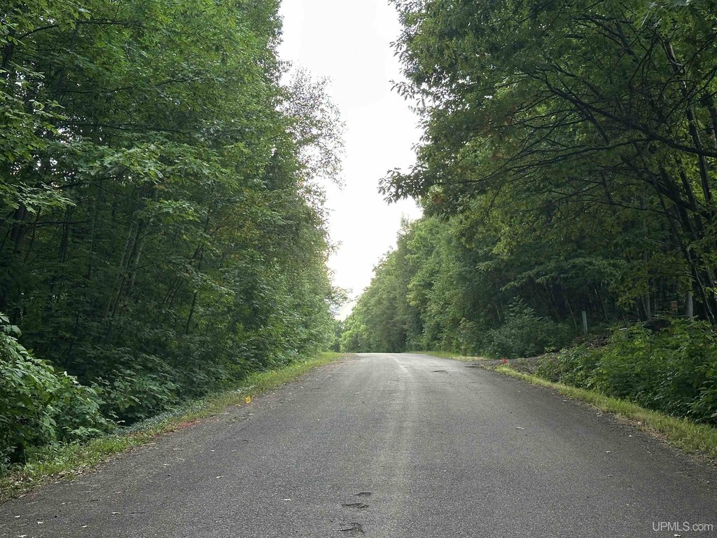 Picture 12