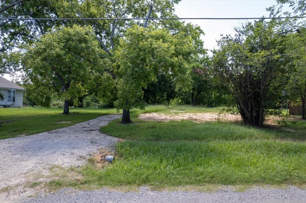 Picture 19
