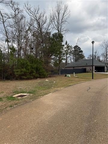 Picture 15