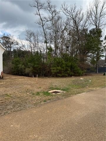 Picture 14