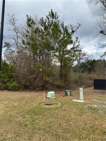 Picture 13