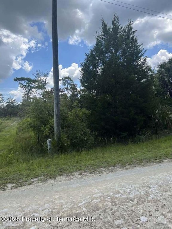 Picture 25